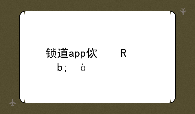 锁道app使用说明？