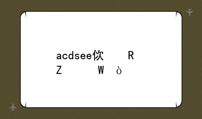 acdsee使用方法？