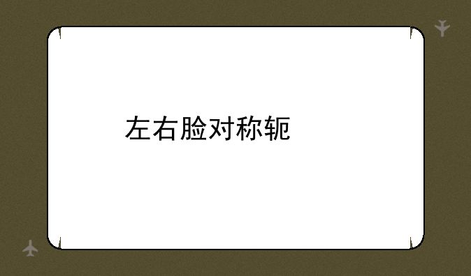 左右脸对称软件