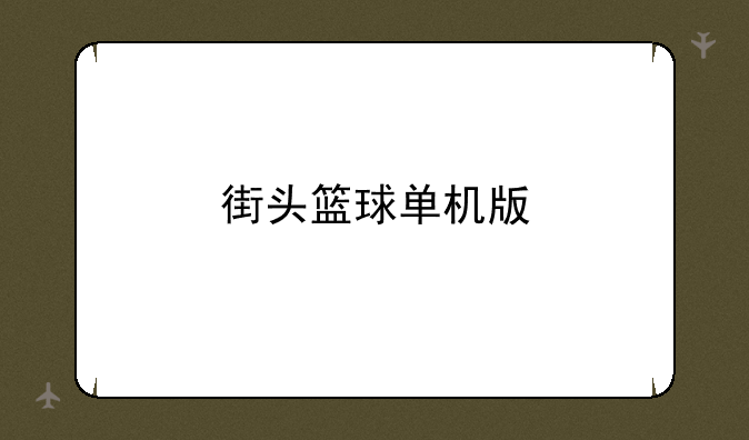 街头篮球单机版