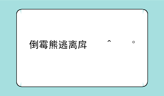 倒霉熊逃离房间第20关