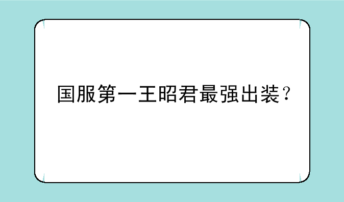 国服第一王昭君最强出装？