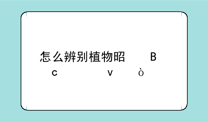 怎么辨别植物是否还活着？