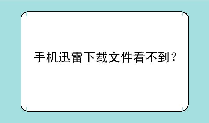 手机迅雷下载文件看不到？