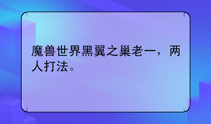 魔兽世界黑翼之巢老一，两人打法。
