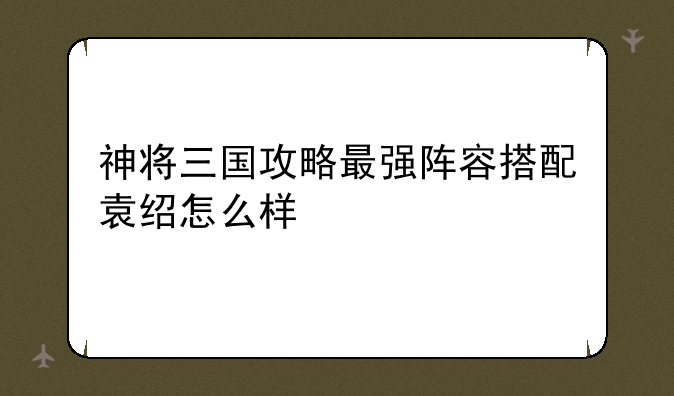 神将三国攻略最强阵容搭配袁绍怎么样