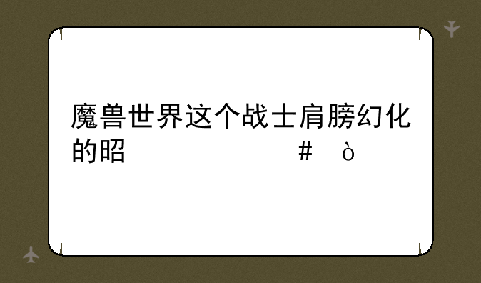 魔兽世界这个战士肩膀幻化的是什么？
