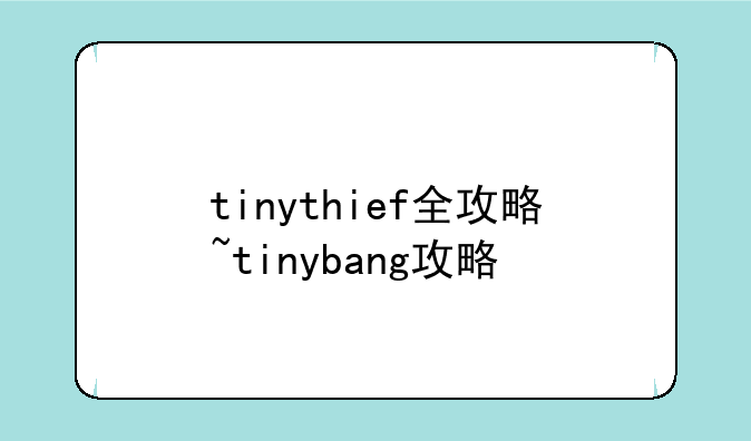 tinythief全攻略~tinybang攻略