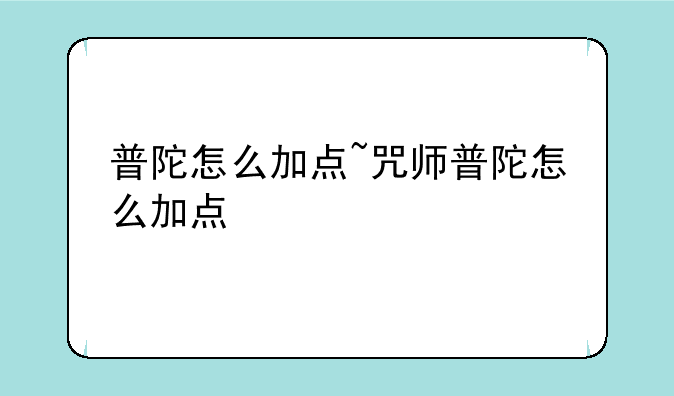 普陀怎么加点~咒师普陀怎么加点