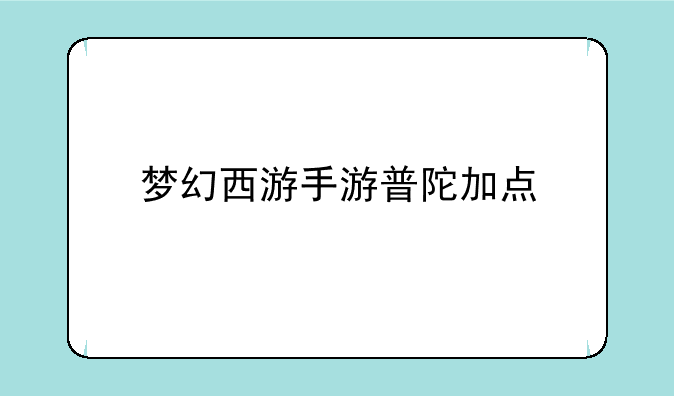 梦幻西游手游普陀加点